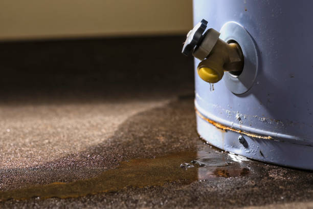 Best Water damage restoration cost  in Dupont, WA