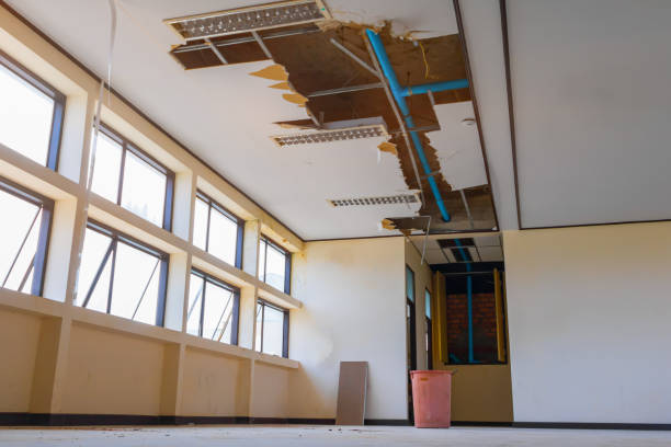 Best Commercial water damage restoration  in Dupont, WA
