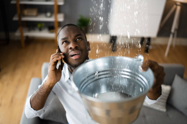 Best Sewage cleanup and water damage restoration  in Dupont, WA