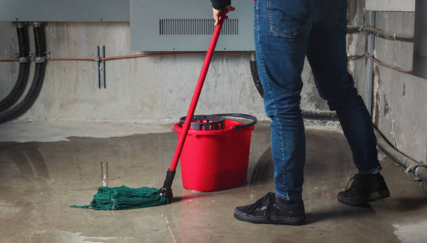 Best Residential water damage restoration  in Dupont, WA