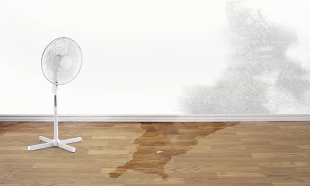 Best Water damage restoration near me  in Dupont, WA