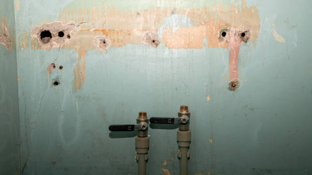 Best Carpet water damage restoration  in Dupont, WA