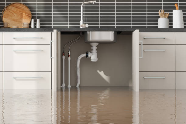 Best Water damage contractors near me  in Dupont, WA