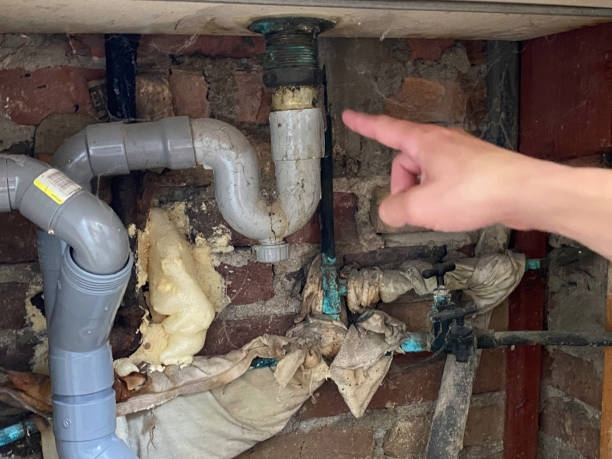 Best Fire Damage Restoration  in Dupont, WA