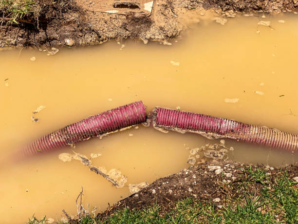  Dupont, WA Water damage restoration Pros