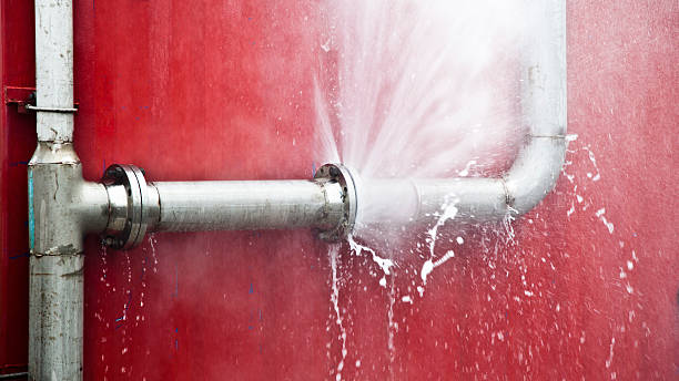 Best Mold removal after water damage  in Dupont, WA